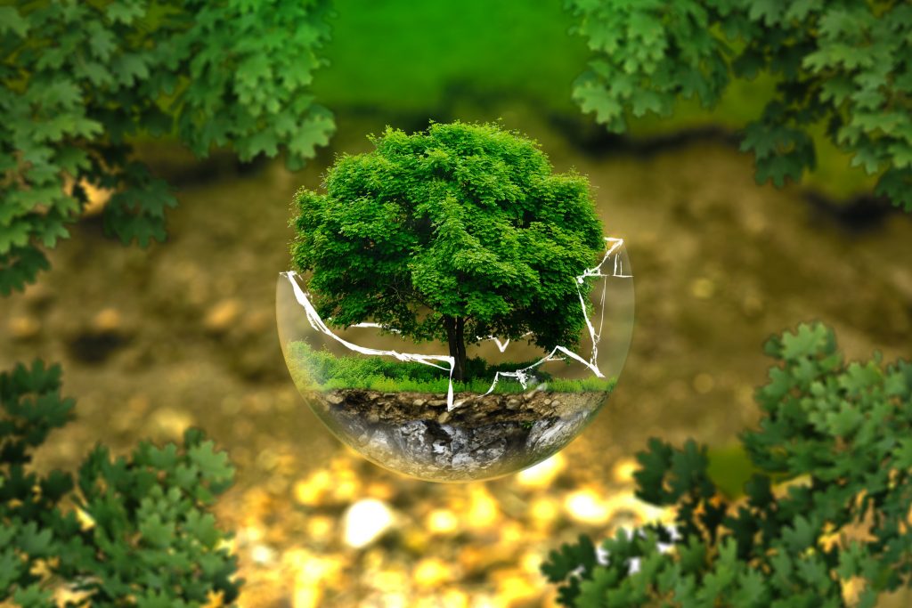 Climat